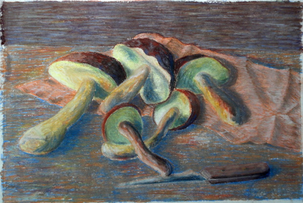 RajlichJaroslav_ml_Houby_pastel_1976