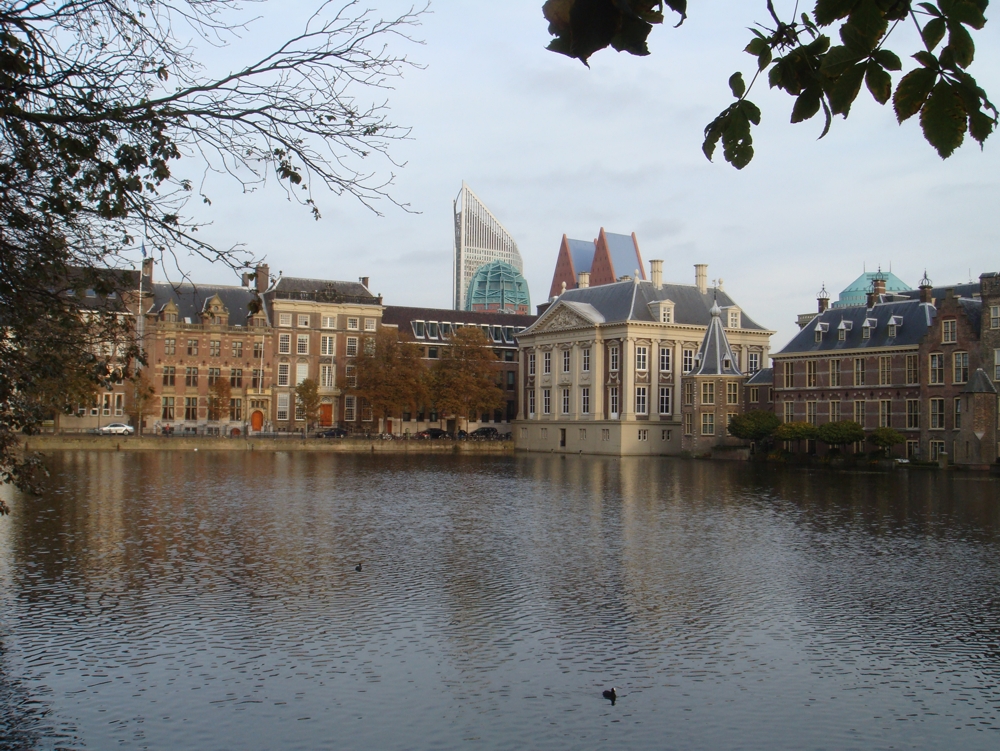 Haag_2007