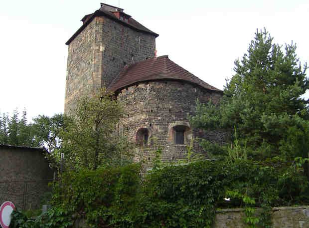 Románská rotunda v Týnci n. S., 2005